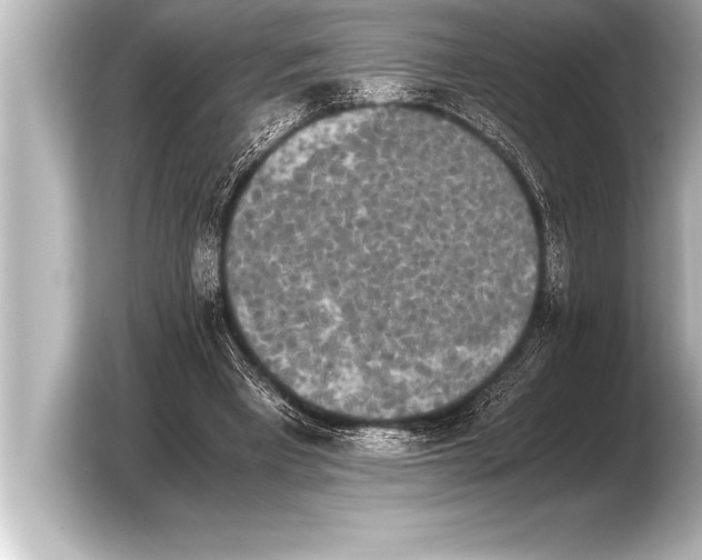 X0000103960393200810031208