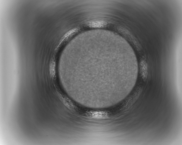 X0000103960400200810031208