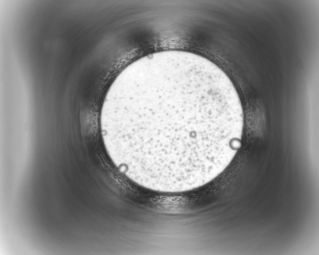 X0000103960401200810031208
