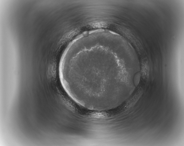 X0000103960402200810031208