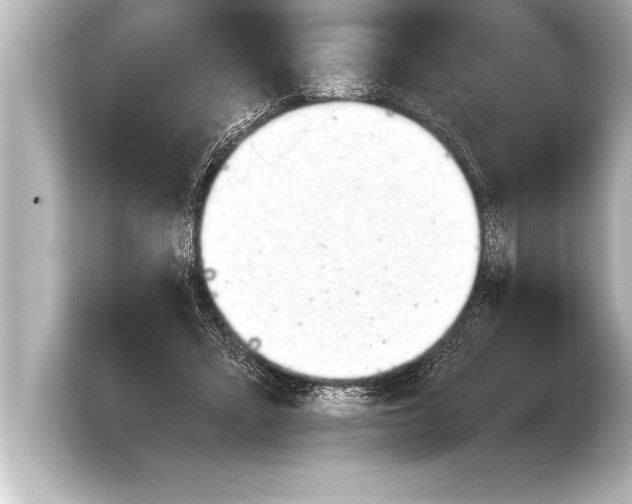 X0000103960403200810031208