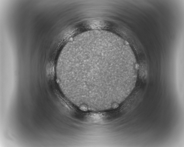 X0000103960405200810031208