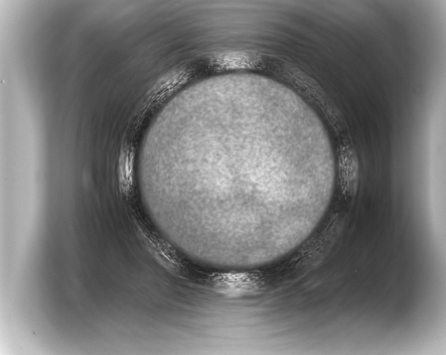 X0000103960406200810031208