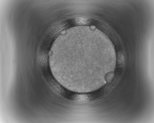 X0000103960409200810031208