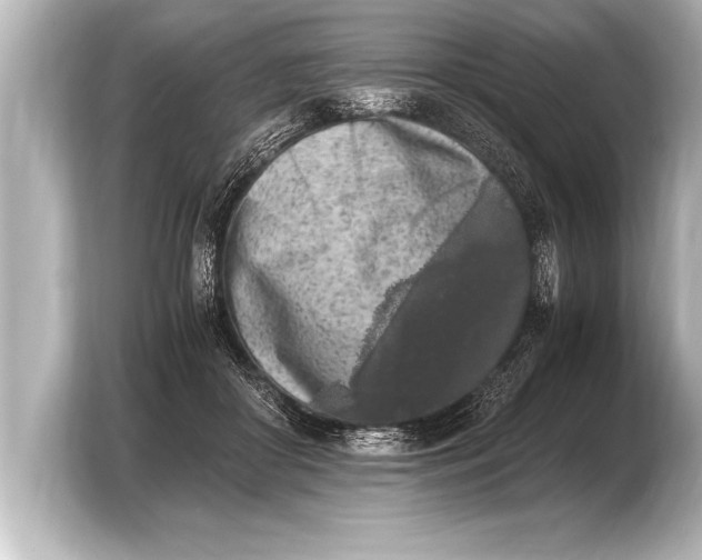 X0000103960410200810031208