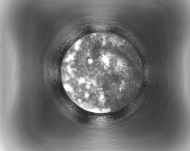 X0000103960411200810031208