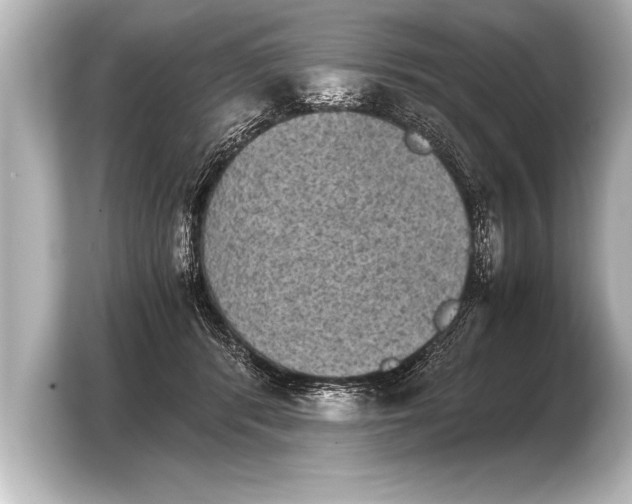 X0000103960416200810031208