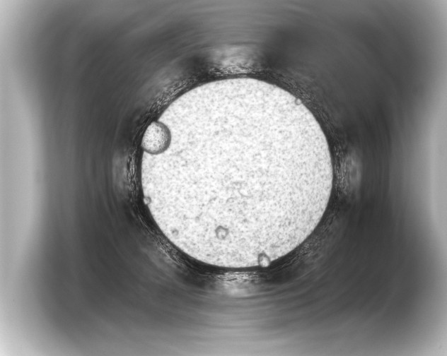 X0000103960418200810031208