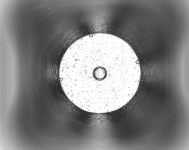 X0000103960421200810031208