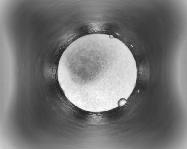 X0000103960423200810031208