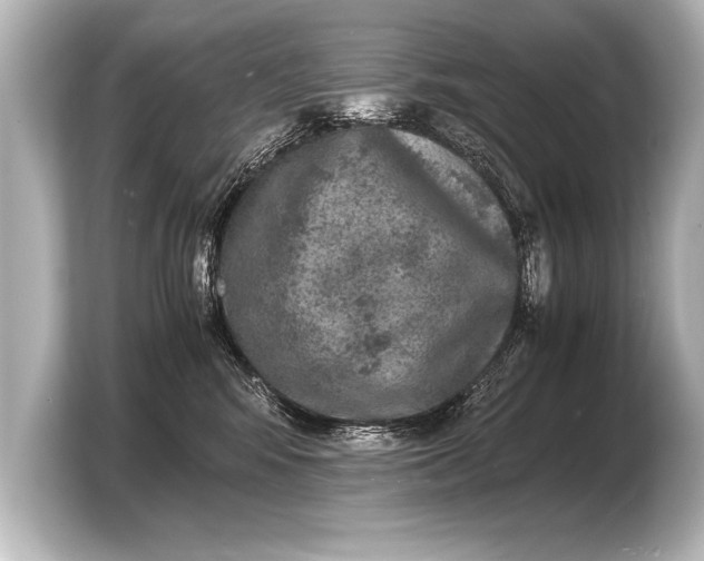 X0000103960424200810031208