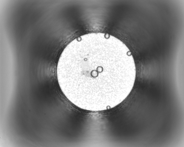 X0000103960425200810031208