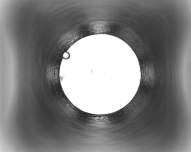 X0000103960426200810031208