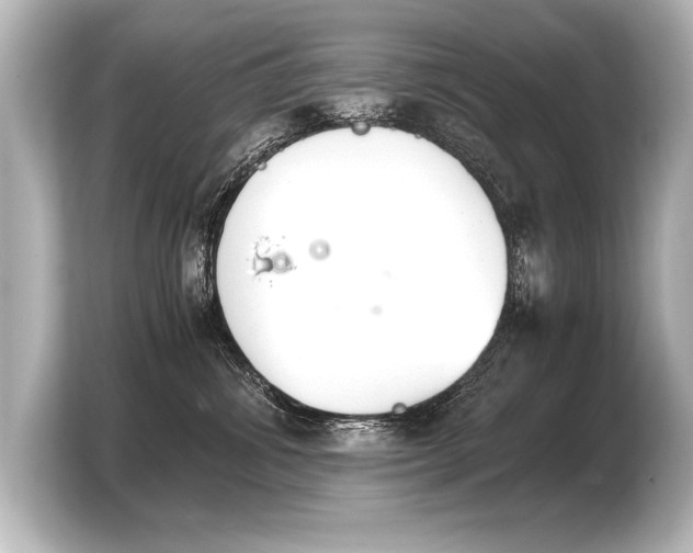 X0000103960428200810031208