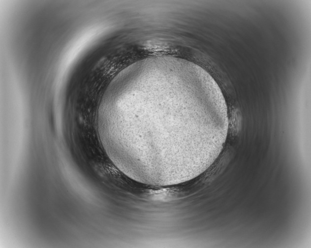 X0000103960430200810031208