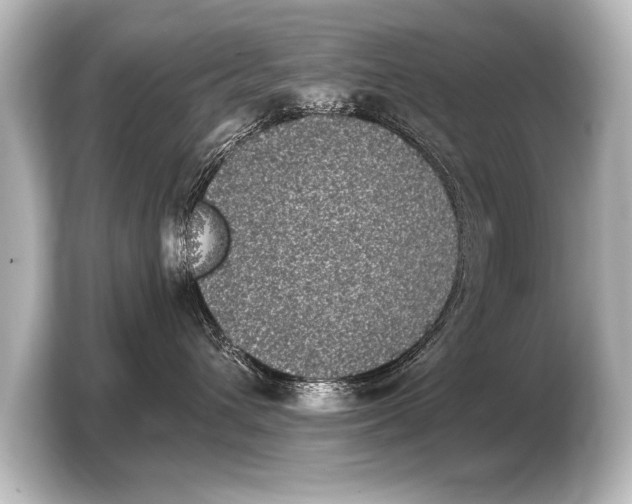 X0000103960432200810031208