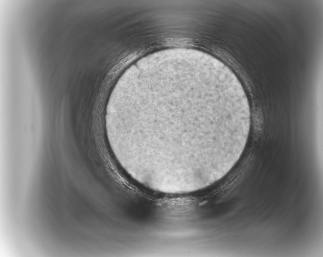 X0000103960433200810031207