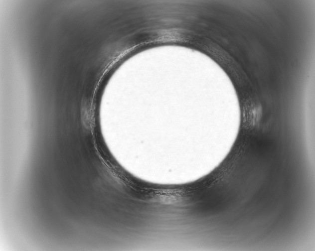 X0000103960436200810031207