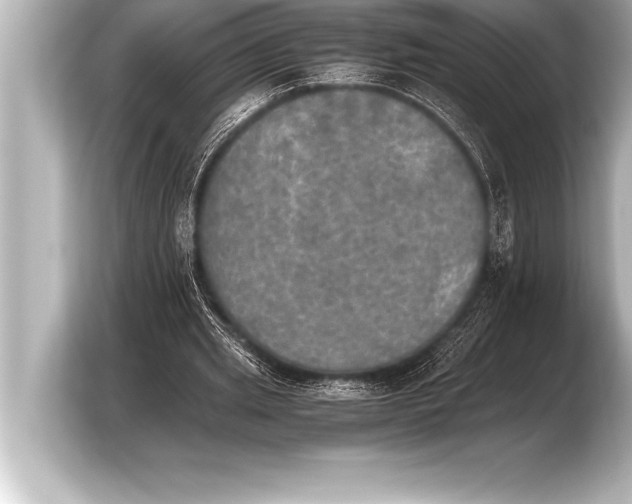 X0000103960437200810031207