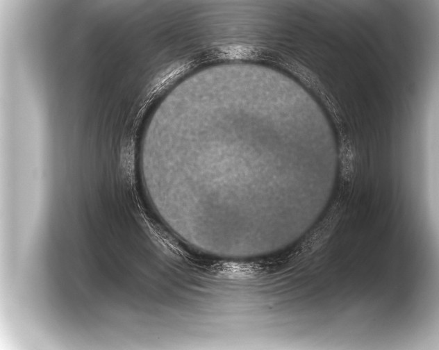 X0000103960442200810031207
