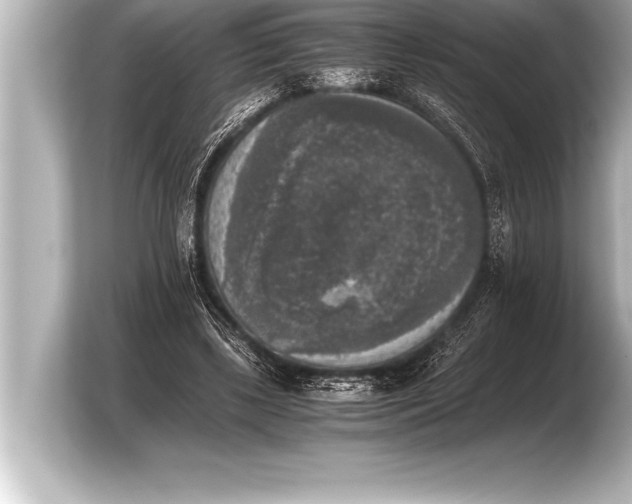 X0000103960443200810031207