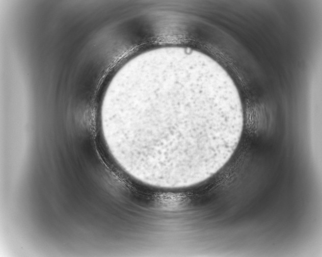 X0000103960444200810031207