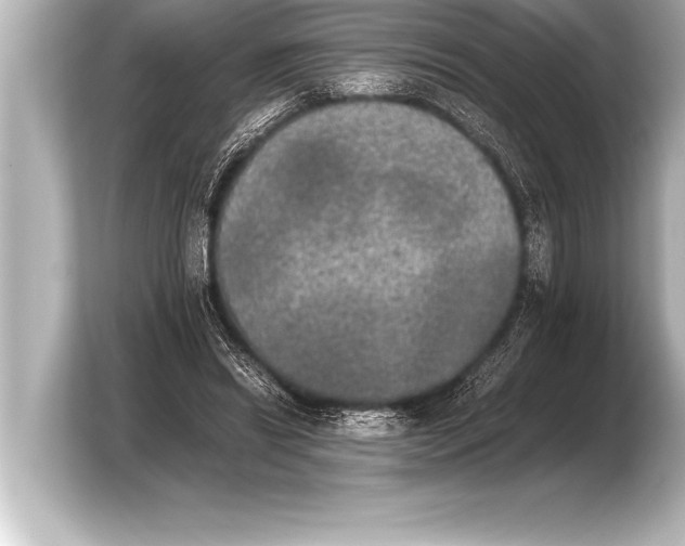 X0000103960446200810031207