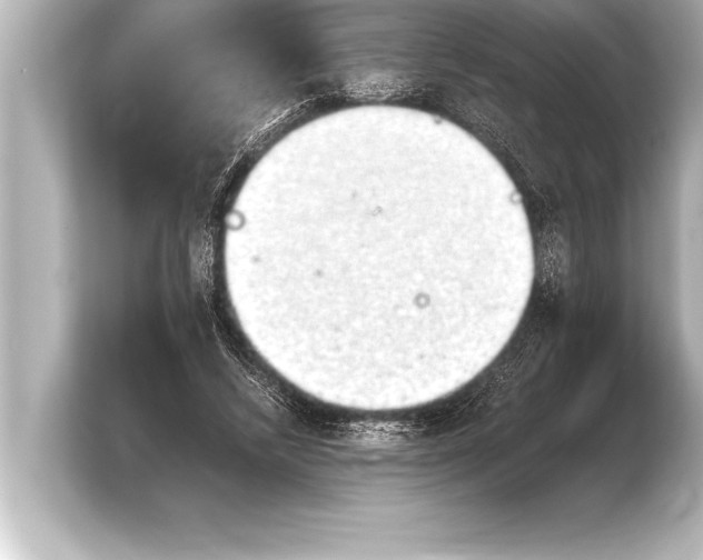 X0000103960448200810031207