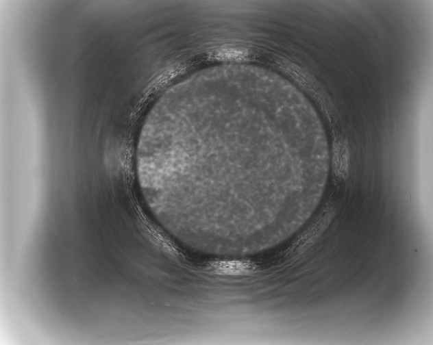 X0000103960449200810031207