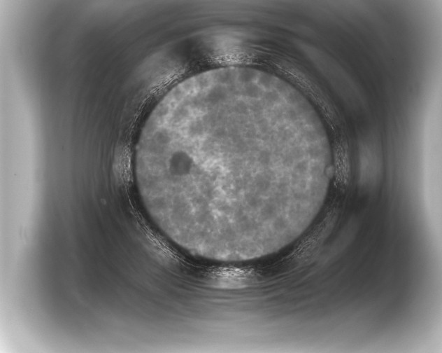 X0000103960453200810031207