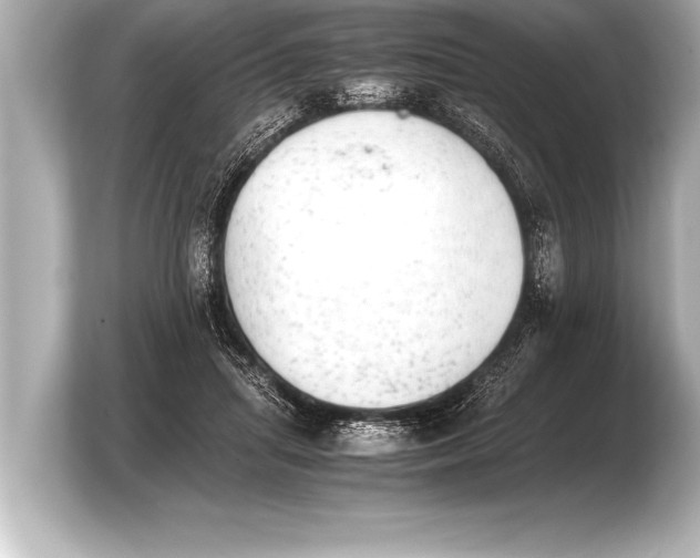 X0000103960455200810031207
