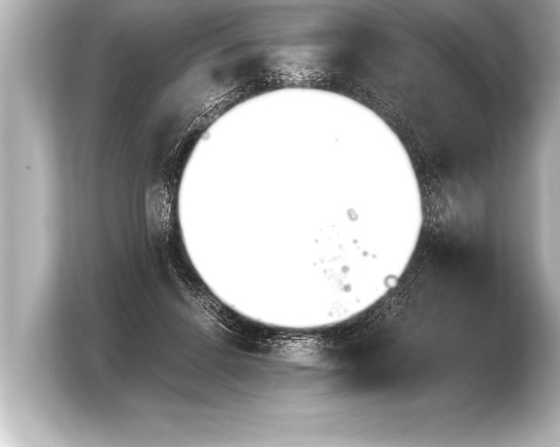 X0000103960456200810031207