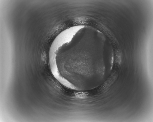 X0000103960465200810031208