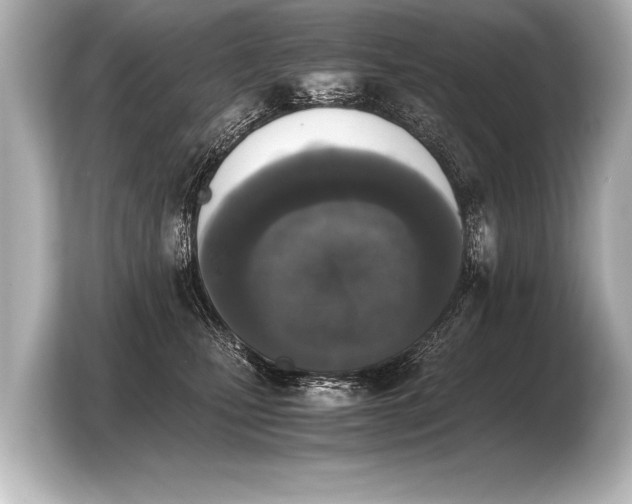 X0000103960471200810031208