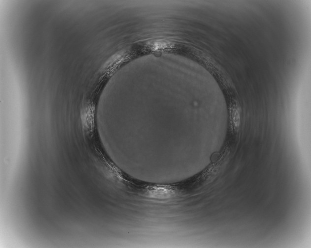 X0000103960475200810031208