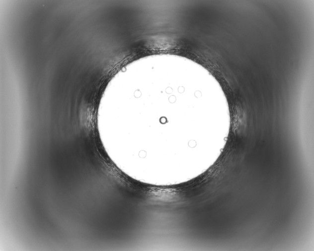 X0000103960476200810031208