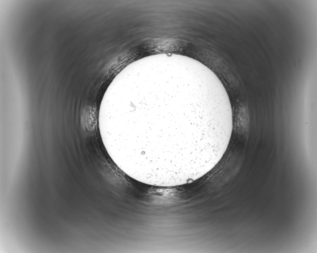 X0000103960478200810031208