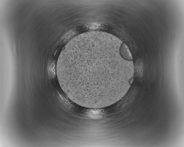 X0000103960479200810031208