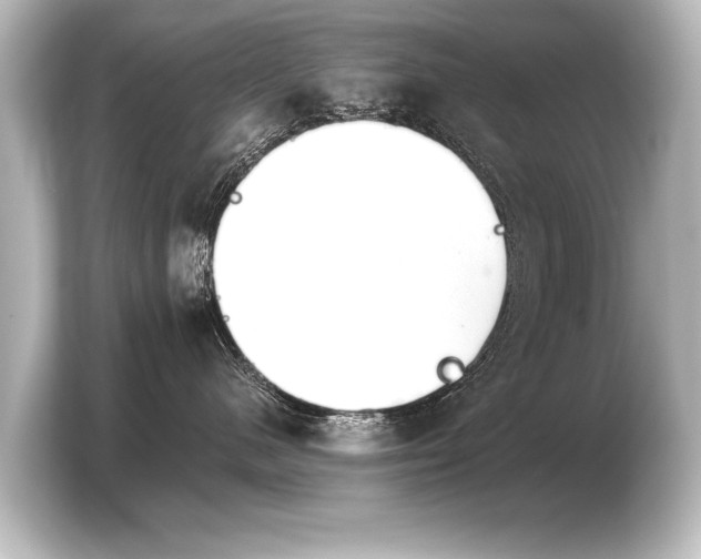 X0000103960480200810031208