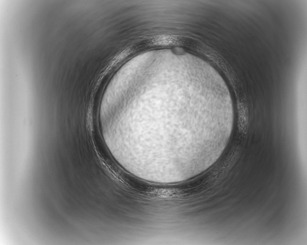 X0000103960482200810031207