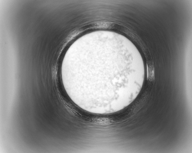 X0000103960483200810031207