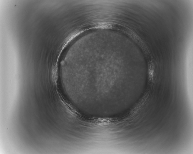 X0000103960484200810031207