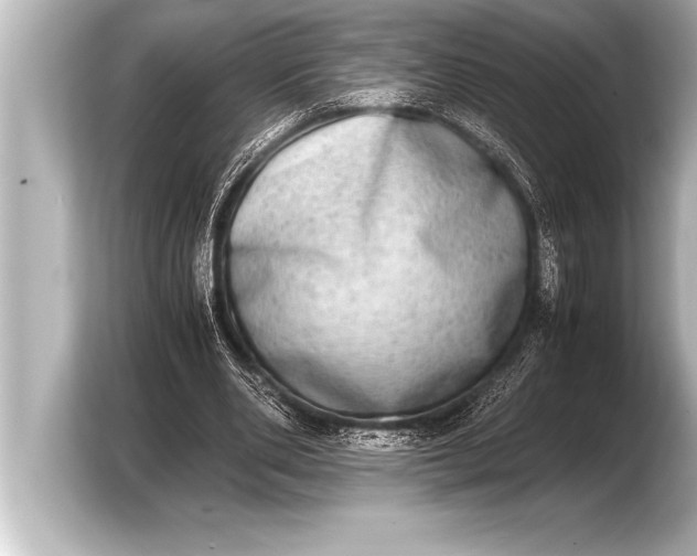 X0000103960486200810031207