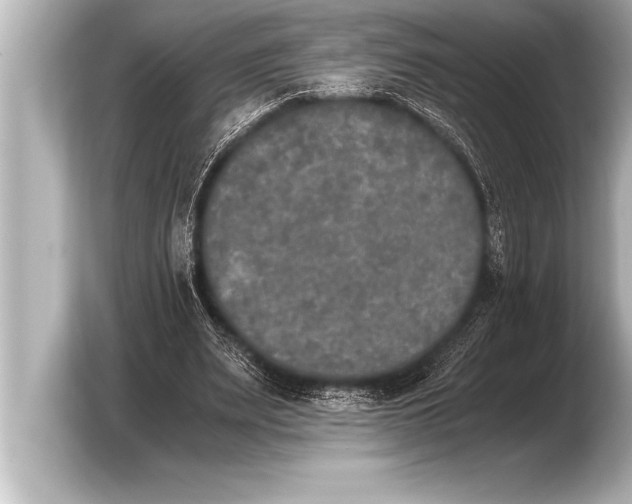 X0000103960487200810031207