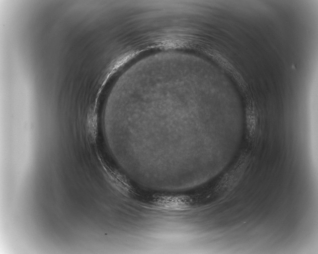 X0000103960488200810031207