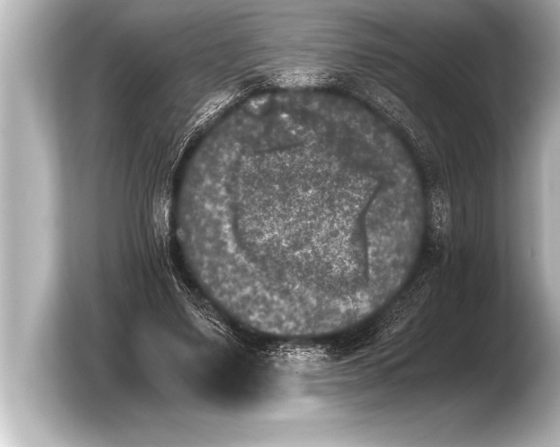 X0000103960491200810031207