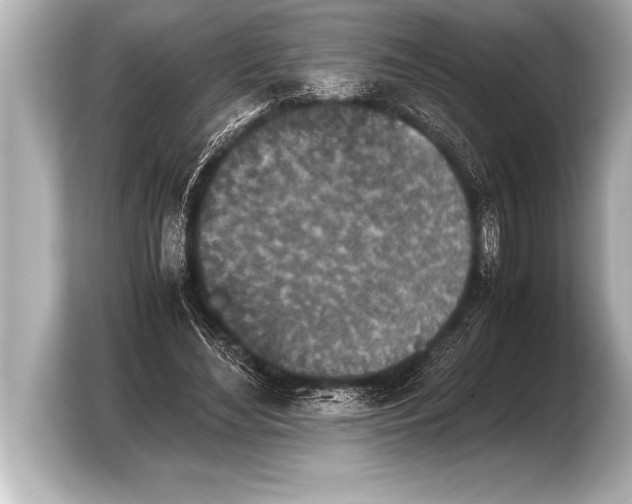 X0000103960492200810031207