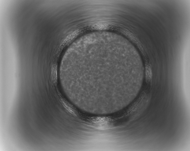 X0000103960493200810031207
