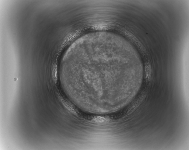 X0000103960494200810031207