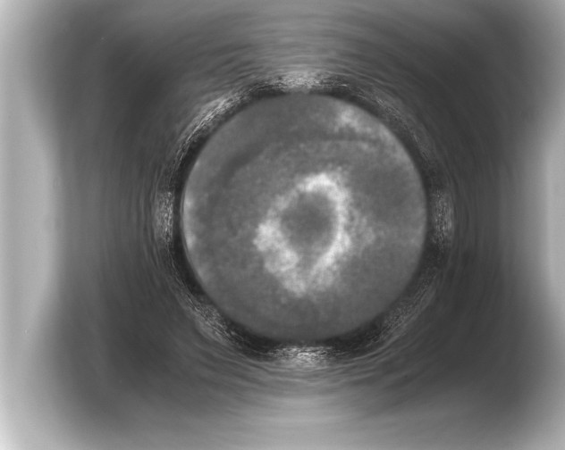 X0000103960495200810031207